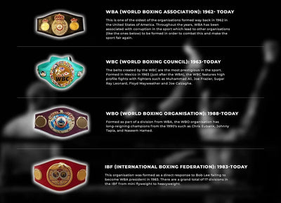 Different Title Boxing Belts