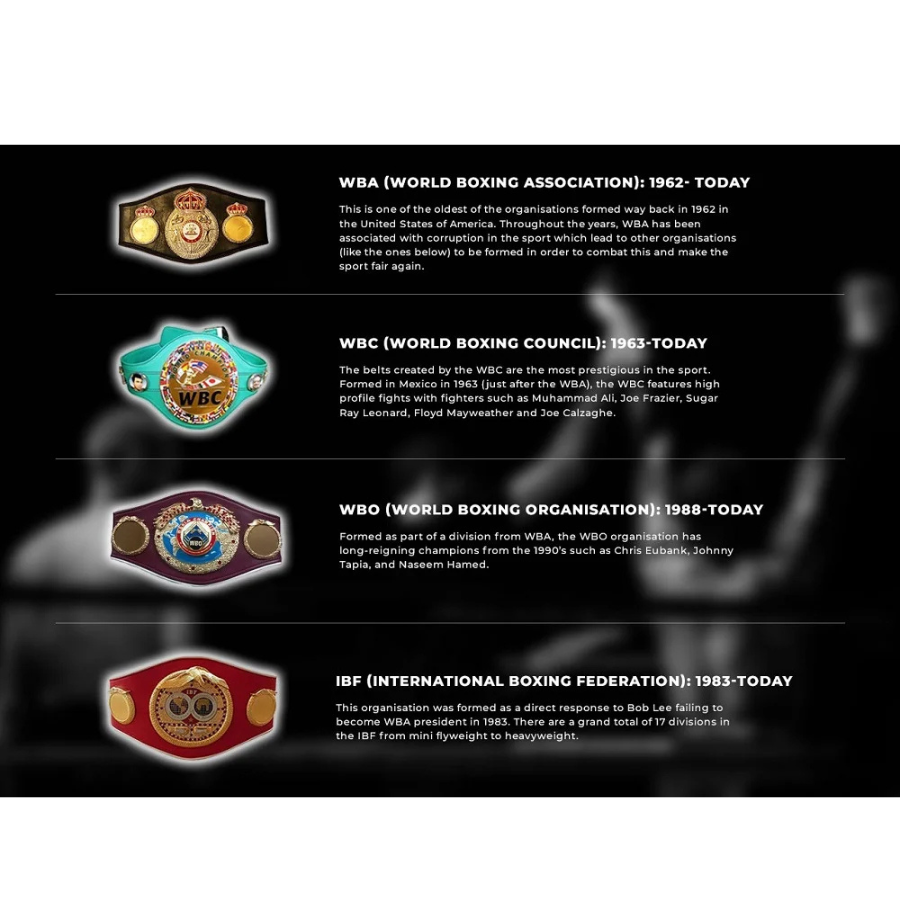 Different Title Boxing Belts