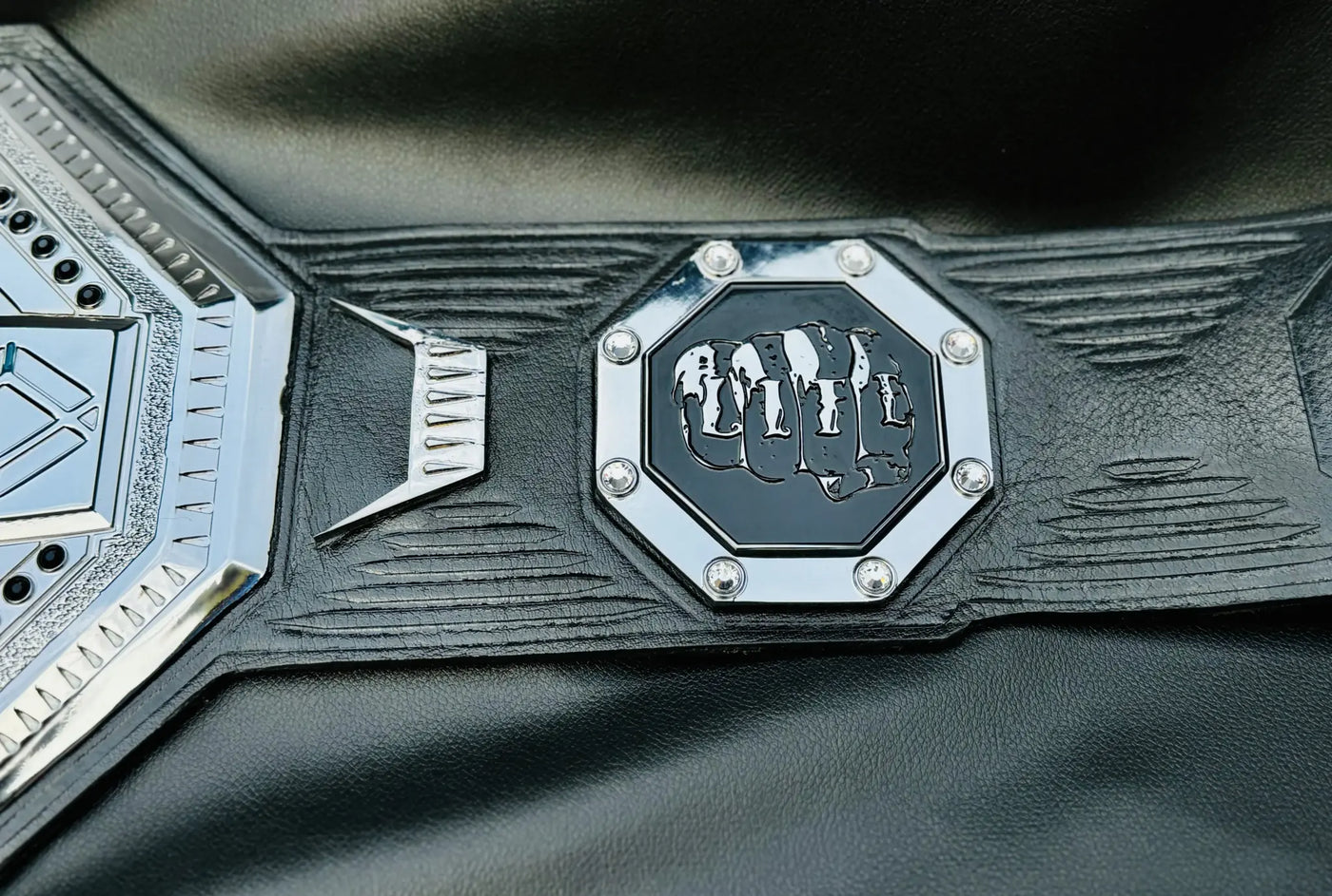 Custom BMF Title Belt 