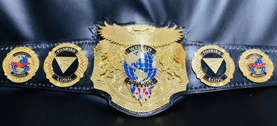 Custom Pro Wrestling Championship Belt