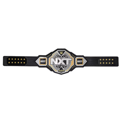 WWE NXT Championship 2024 Replica Title Belt