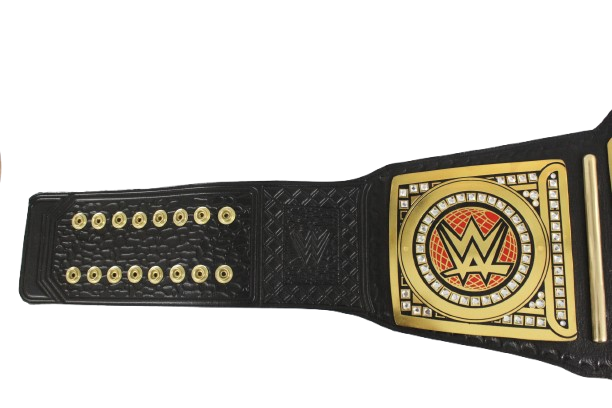 Undisputed World Heavyweight Championship Belt